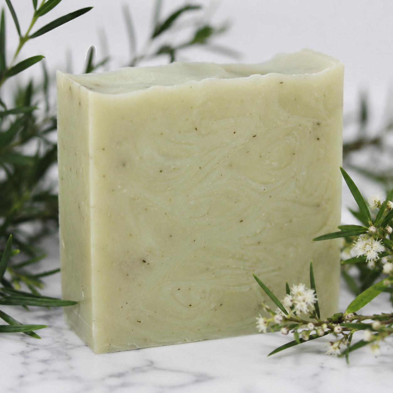 Tea Tree